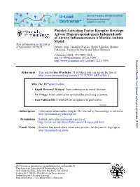Model of Airway Inflammation in a Murine Asthma Airway