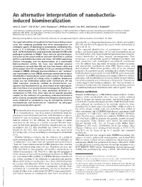 An Alternative Interpretation of Nanobacteria- Induced Biomineralization