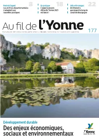 Au Fil Del'yonne