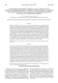 Comparative Densities of Beech Scale, Cryptococcus