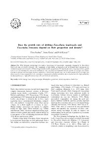 Does the Growth Rate of Drifting Furcellaria Lumbricalis and Coccotylus Truncatus Depend on Their Proportion and Density?