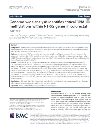 Genome-Wide Analysis Identifies Critical DNA Methylations Within