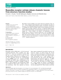 Ryanodine Receptor Calcium Release Channels: Lessons from Structure–Function Studies Fernando J