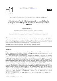 Coleoptera: Passalidae), with Description of a New Species from Indonesia