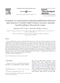 Evaluation of a Loop-Mediated Isothermal Amplification Method For
