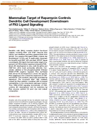 Mammalian Target of Rapamycin Controls Dendritic Cell Development Downstream of Flt3 Ligand Signaling