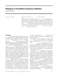 Phylogeny of Parabuthus (Scorpiones, Buthidae)