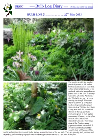 SRGC BULB LOG 21...22 May 2013
