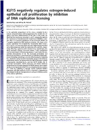 KLF15 Negatively Regulates Estrogen-Induced Epithelial Cell