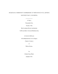 Meiofauna Community Composition at Three Whale-Fall Sites In