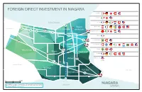 3591 Foreign Investment Map 17X11 PRINT