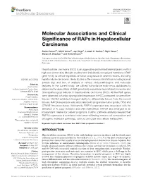 Molecular Associations and Clinical Significance of Raps In