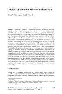 Diversity of Bahamian Microbialite Substrates