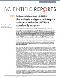 Differential Control of Dntp Biosynthesis and Genome Integrity