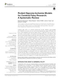 Rodent Hypoxia–Ischemia Models for Cerebral Palsy Research: a Systematic Review