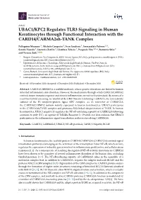 UBAC1/KPC2 Regulates TLR3 Signaling in Human Keratinocytes Through Functional Interaction with the CARD14/Carma2sh-TANK Complex