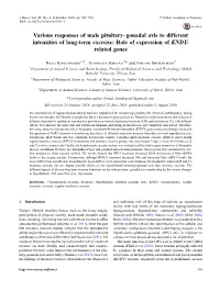 Various Responses of Male Pituitary–Gonadal Axis to Different Intensities of Long-Term Exercise: Role of Expression of KNDY- Related Genes
