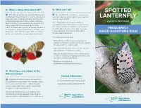 Spotted Lanternfly (SLF)? Q: Where Would I Find SLF?