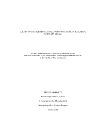 Survey and Settlement at the Ancient Maya Site of Ka’Kabish, Northern Belize