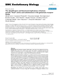 The Identification and Functional Implications of Human-Specific