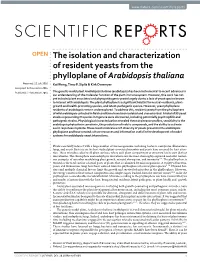 The Isolation and Characterization of Resident Yeasts from the Phylloplane of Arabidopsis Thaliana Received: 12 July 2016 Kai Wang, Timo P