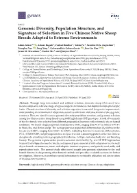 Genomic Diversity, Population Structure, and Signature of Selection in Five Chinese Native Sheep Breeds Adapted to Extreme Environments