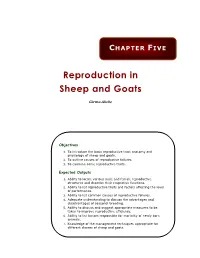 Reproduction in Sheep and Goats