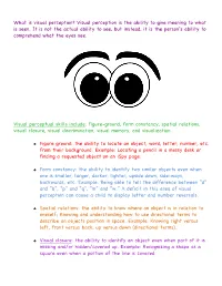 Visual Perception Is the Ability to Give Meaning to What Is Seen