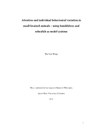 Attention and Individual Behavioural Variation in Small-Brained Animals – Using Bumblebees and Zebrafish As Model Systems