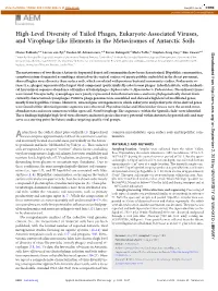 High-Level Diversity of Tailed Phages, Eukaryote-Associated Viruses, and Virophage-Like Elements in the Metaviromes of Antarctic Soils