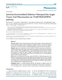 Pdf Amino Acid Surface Decoration on the Anticancer Efficacy of Selenium Nanoparticles