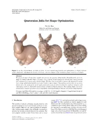 Quaternion Julia Set Shape Optimization