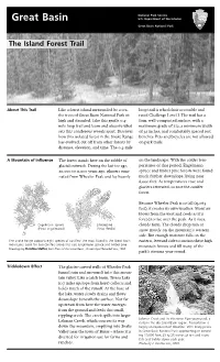 The Island Forest Trail