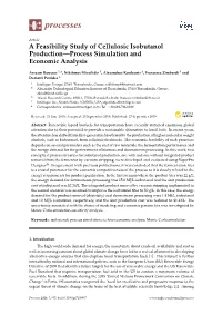 A Feasibility Study of Cellulosic Isobutanol Production—Process Simulation and Economic Analysis