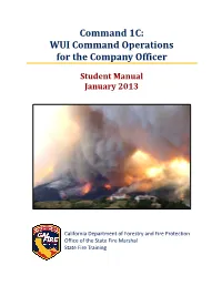Command 1C: WUI Command Operations for the Company Officer