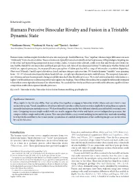 Humans Perceive Binocular Rivalry and Fusion in a Tristable Dynamic State