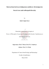 Interactions Between Indigenous Southern Afrotemperate Forest Trees