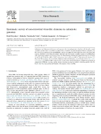 Systematic Survey of Non-Retroviral Virus-Like Elements in Eukaryotic