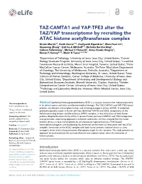 TAZ-CAMTA1 and YAP-TFE3 Alter the TAZ/YAP Transcriptome By