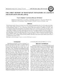 The First Report of Root-Knot Nematode on Cestrum Nocturnum in Ninawa, Iraq
