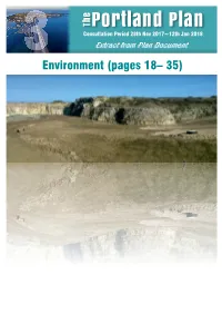 3. Environment