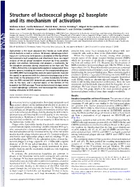Structure of Lactococcal Phage P2 Baseplate and Its Mechanism of Activation