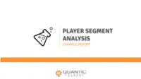Player Segment Analysis Report