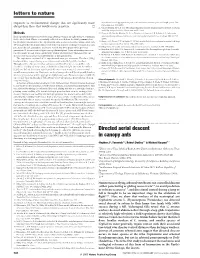 Directed Aerial Descent in Canopy Ants