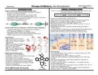 Kinase Inhibitors: an Introduction