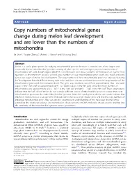 Copy Numbers of Mitochondrial Genes Change During Melon Leaf Development and Are Lower Than the Numbers of Mitochondria