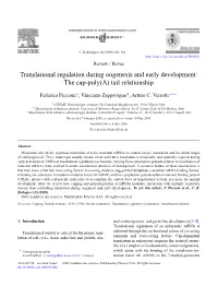 Translational Regulation During Oogenesis and Early Development: the Cap-Poly(A) Tail Relationship