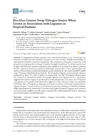 Urochloa Grasses Swap Nitrogen Source When Grown in Association with Legumes in Tropical Pastures