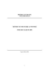 Report on the Work Activities for the Year of 2003