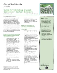 Guide for Producing Dryland Camelina in Eastern Colorado Fact Sheet No